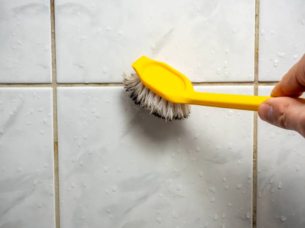 Trusted Dumfries, VA Mold Removal Experts