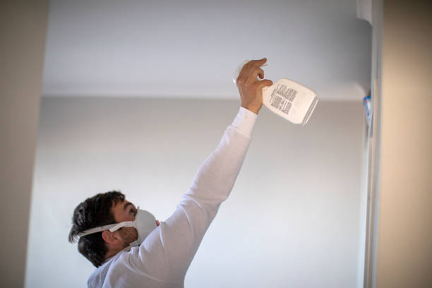 Best Mold Testing  in Dumfries, VA