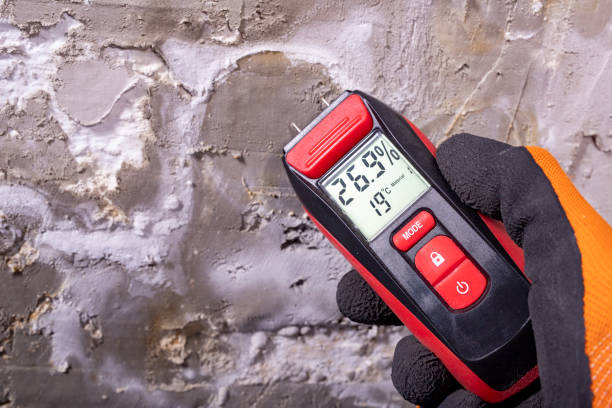 Best Mold Cleaning Services  in Dumfries, VA