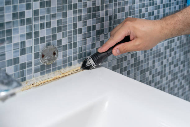 Best Mold Removal Specialists  in Dumfries, VA